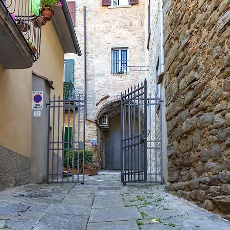 Pietro * Cortona