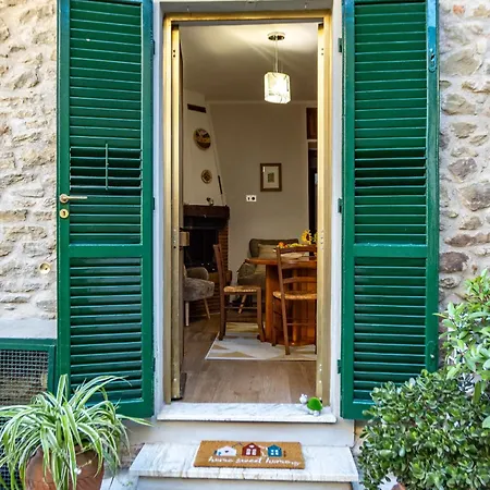 Pietro * Cortona
